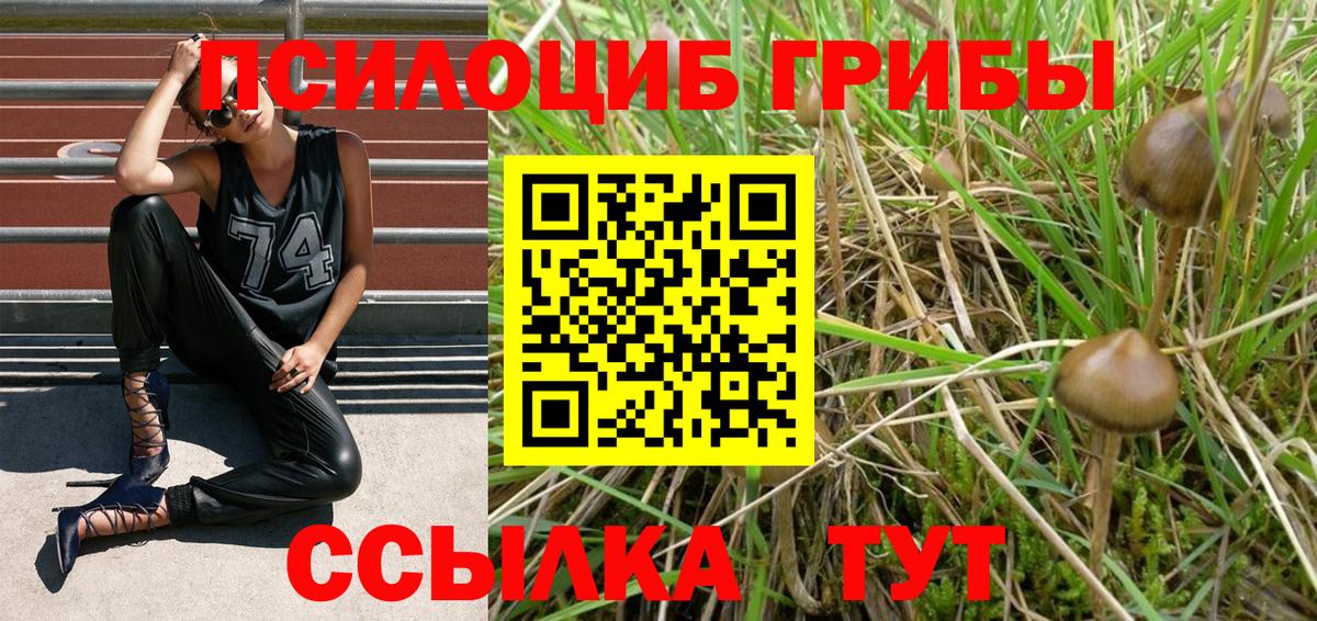 Псилоцибиновые грибы ЛСД  Вход с VPN  Усть-Джегута 